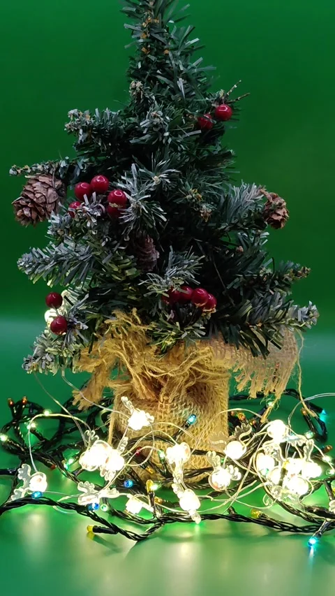 Christmas light on the tree Stock Footage 322676977