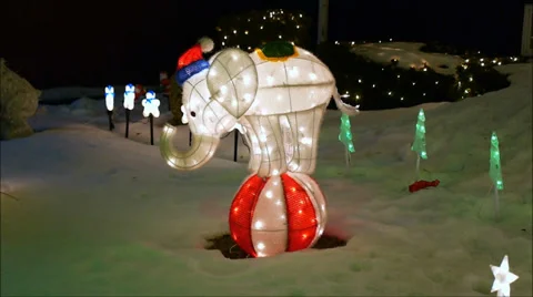 Christmas lighted Elephant Stock Footage 33653371