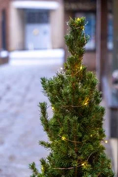 Christmas lighted pine tree Stock Photos