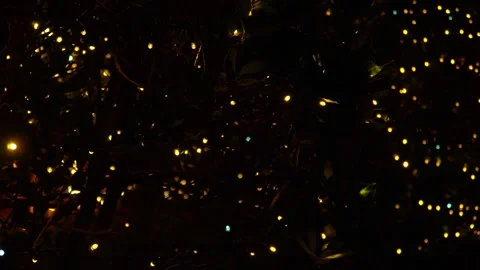 Christmas lighting background with illuminated leds glowing in the dark0 Video stock 346142306
