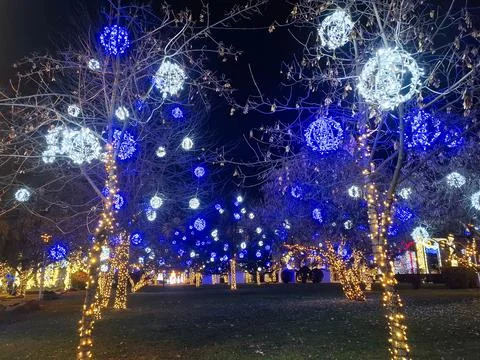 Christmas lights and decorations in Baia Mare city, Romania Photos