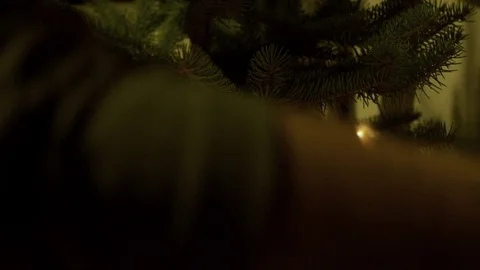 Christmas lights and tree Stock Footage 69831326
