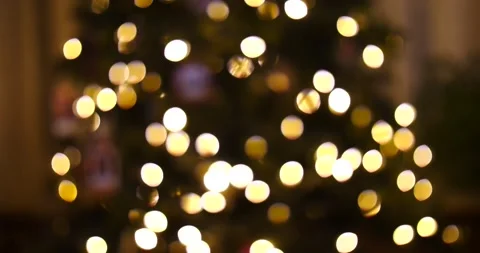 Christmas lights blurred background establishing shot indoors Christmas tree Stock Footage 220697657