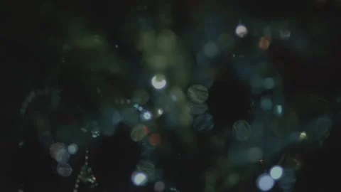 Christmas lights, bokeh. Stock Footage 259090333