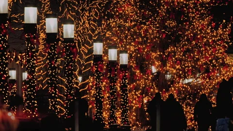 Christmas Lights In Central Park Stock Footage 254185376