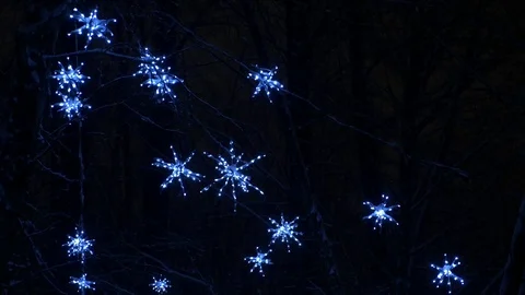 Christmas lights decoration on tree 스톡 동영상 70543055