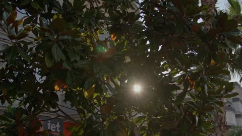 Christmas Lights Display Stock Footage 339702784