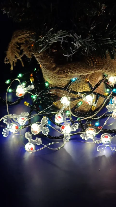 Christmas lights flashing on the tree close up Stock Footage 322677434