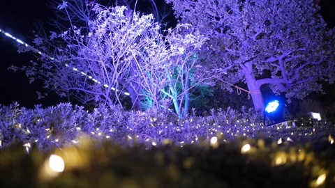 Christmas lights Stock Footage 121574011