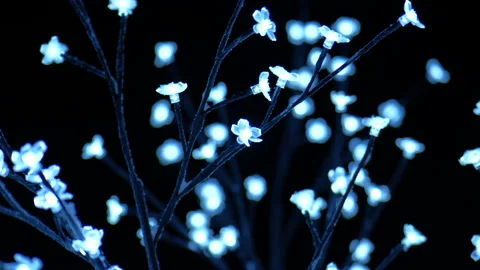 Christmas lights Stock Footage 166740631