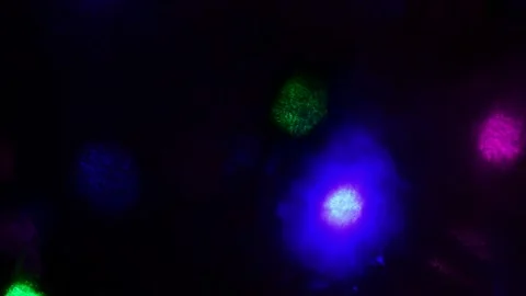 Christmas lights Stock Footage 247465870