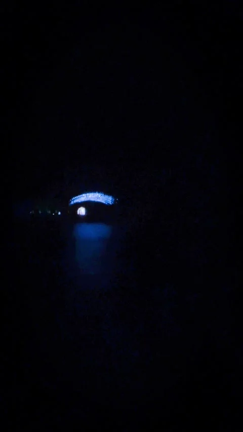 Christmas lights Stock Footage 279523334