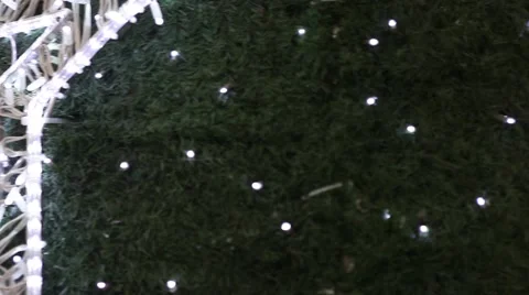 Christmas lights on green tree Stock Footage 44639964