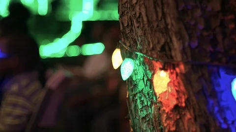 Christmas Lights Hanging On Tree 4K 29.97 Stock-Footage 100638759