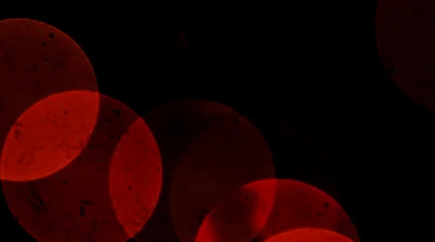 Christmas Lights Moving Camera Video stock 38280565