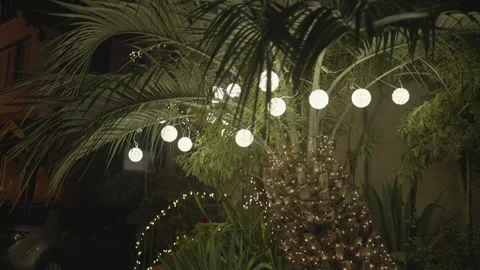 Christmas lights on palm tree Vídeos de archivo 334031121