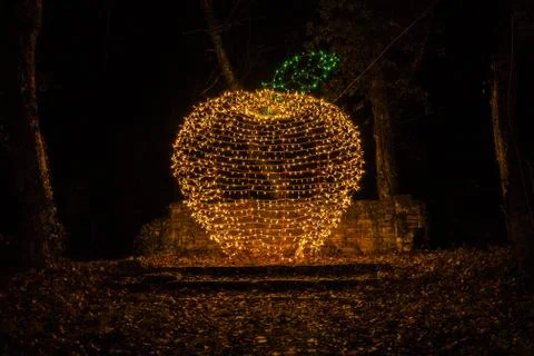 Christmas lights in the park in the shape of an apple Stock Photos