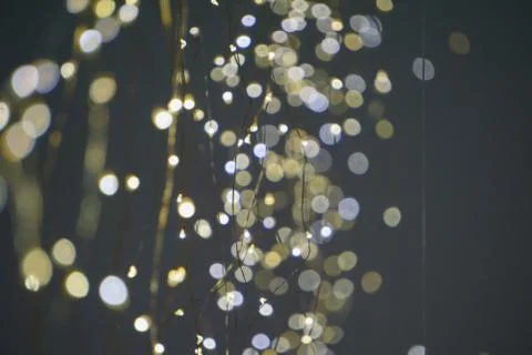 Christmas lights 写真素材
