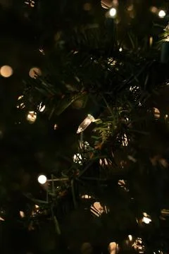 Christmas Lights Stock Photos