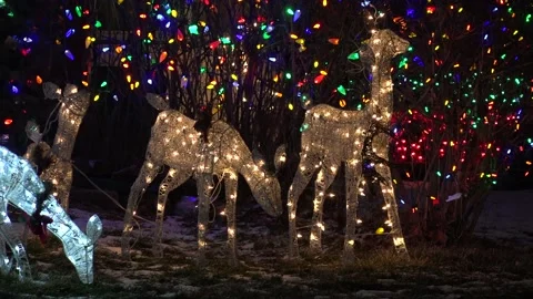 Christmas lights on regular homes in the suburbs Stock Footage 145196465