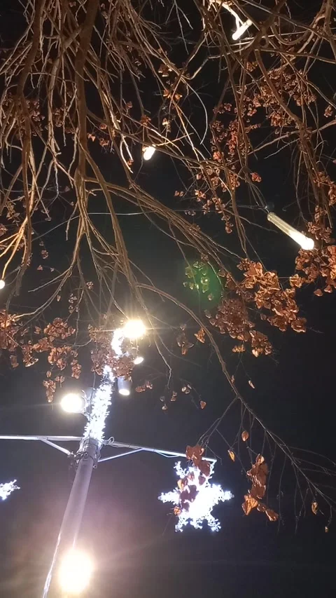 Christmas lights in the town Video stock 325968859