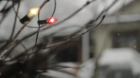 Christmas lights in a tree against the backdrop of falling snow Stock Footage 59110270