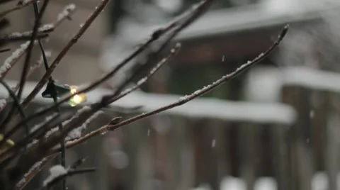 Christmas lights in a tree against the backdrop of falling snow Stock Footage 59110536