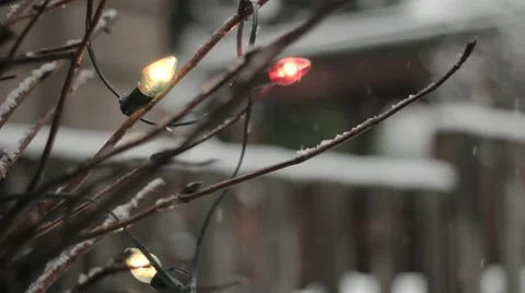 Christmas lights in a tree against the backdrop of falling snow Stock Footage 59111549