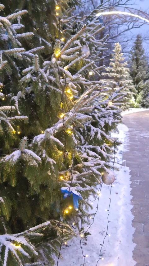 Christmas lights, tree and evening sky in the park 스톡 동영상 324992129