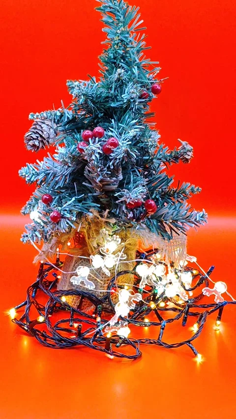 Christmas lights on the tree with a bright red background Stock Footage 322677147