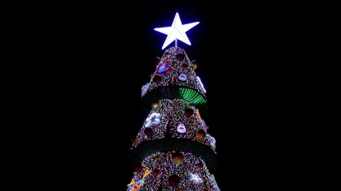 Christmas Lights Tree Closeup Video stock 83143159