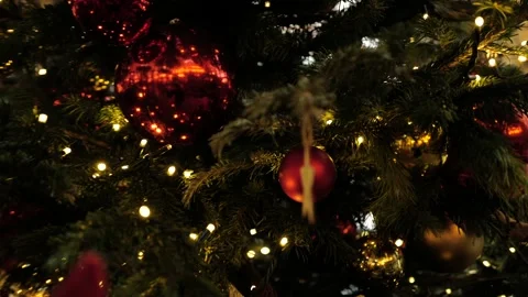 Christmas lights on the tree Stock Footage 167719414