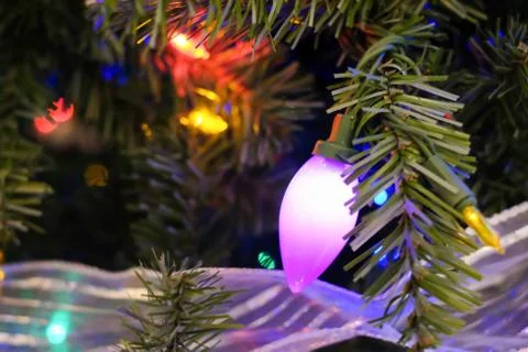 Christmas lights on a tree Stock Photos