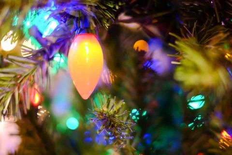 Christmas lights on a tree Stock Photos