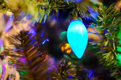 Christmas lights on a tree Stock Photos