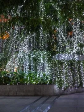 Christmas lights on tree Stock Photos
