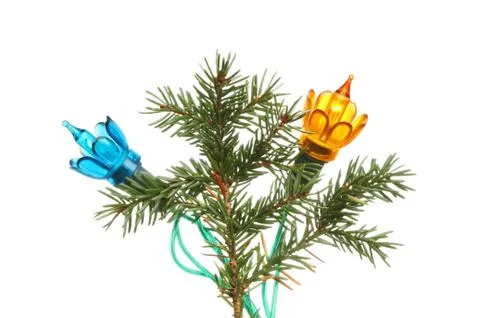 Christmas lights in tree Stock Photos