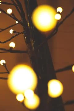 Christmas lights on a tree Stock Photos