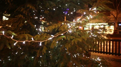 Christmas lights on a tree pull focus Stock Footage 5299533