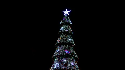 Christmas Lights Tree Tilt Video stock 83143178