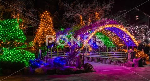 Christmas lights on trees and metal awning Stock Photos