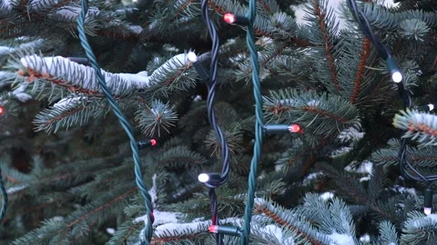 Christmas lights on the trees. Christmas tree sales at the Christmas market Stock Footage 280642002