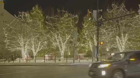 Christmas lights on trees in park Video stock 308397748