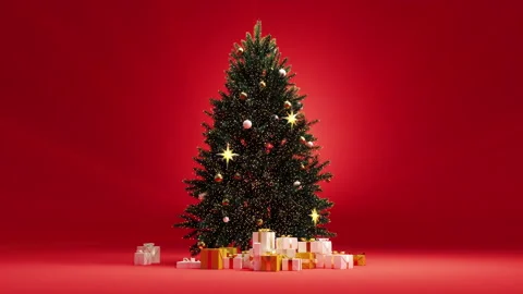 The Christmas Lights Turned On Stock Footage 167099234