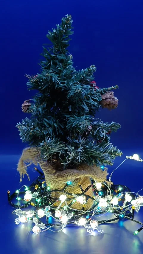 Christmas lights twinkle on the tree Video stock 322677433