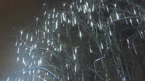 Christmas lights on a winter tree Stock Footage 59362899