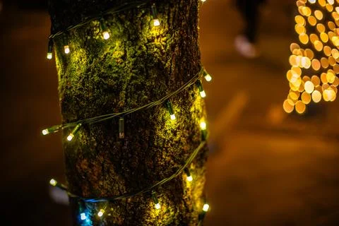 Christmas Lights Wrapped Around Tree in Civita di Bagnoregio, Italy Stock Photos