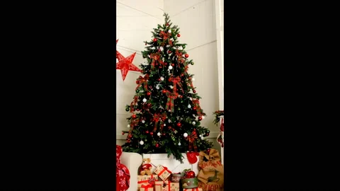 Christmas location with tree vertical. Selective focus. Stock Footage 221558009