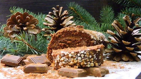 Christmas log Stock Footage 102061392