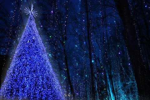 Christmas magic lights Stock Photos
